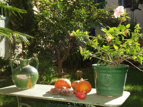 Bed & Breakfast Ma Chambre � Montpellier