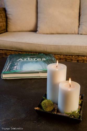 Apartamento Surprenantes- Sur Un Arbre Perch�