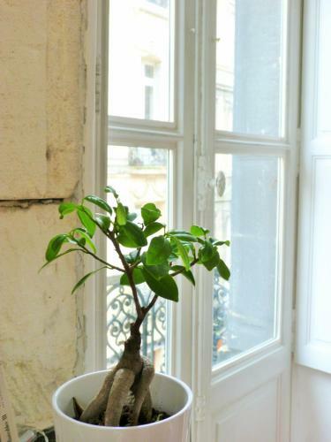 Apartamento L'appart D'oli Et Tiane