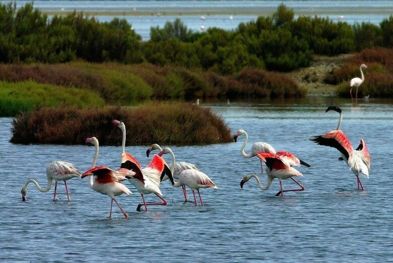 Sardegna Hotel