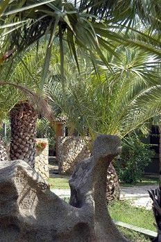 Hotel Green Village Resort