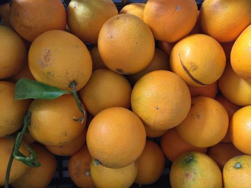 Hotel Villa Ortensia