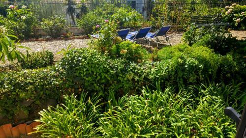 Hotel Villa Ortensia