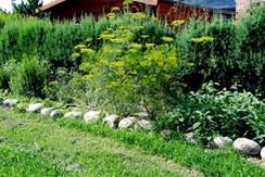 Bed & Breakfast Corte Dei Gioghi