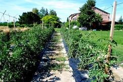 Bed & Breakfast Corte Dei Gioghi