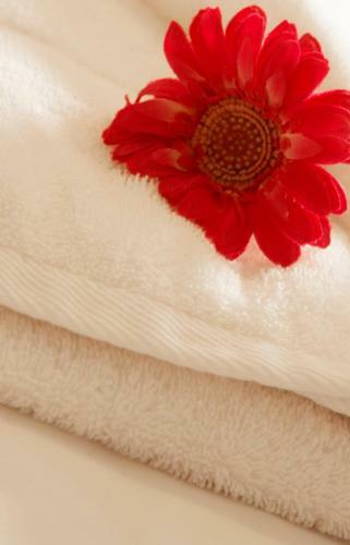 Apartamentos Atholl Brae