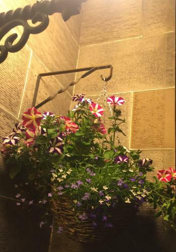 Hostal International Guest House