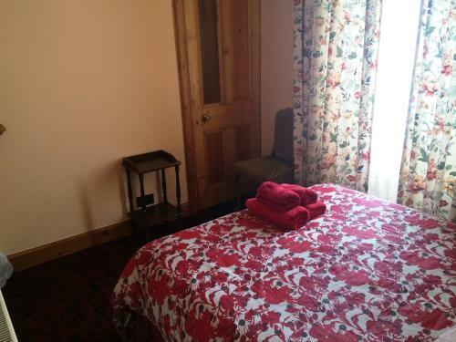 Hostal Bellevue Guest House