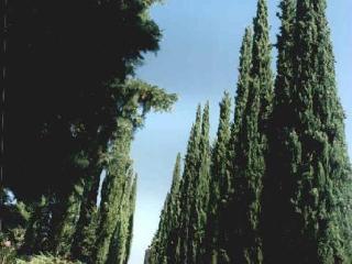 Agroturismo Agriturismo Vecchio Borgo Di Inalbi