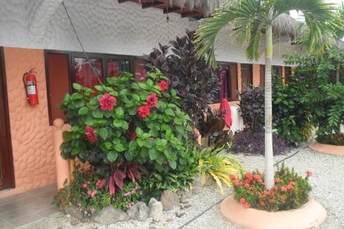 Las Brisas De Monta�ita