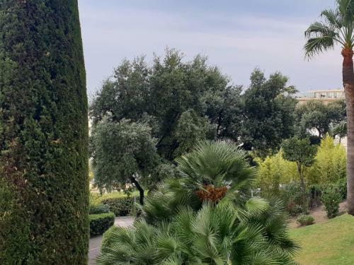 Apartment Alexandra Palace Cannes