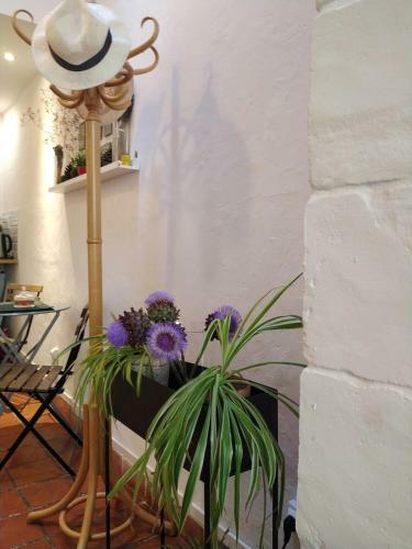 Apartamento Appartement Arles Centre Historique