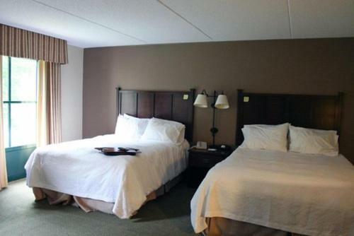 Hotel Hampton Inn & Suites Lake George