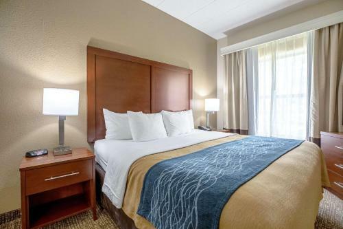 Hotel Comfort Inn Indianapolis