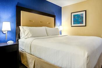 Hotel Holiday Inn Indianapolis North-carmel