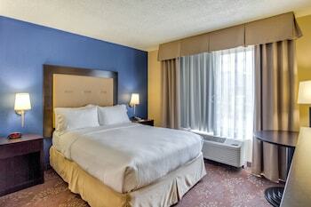 Hotel Holiday Inn Indianapolis North-carmel