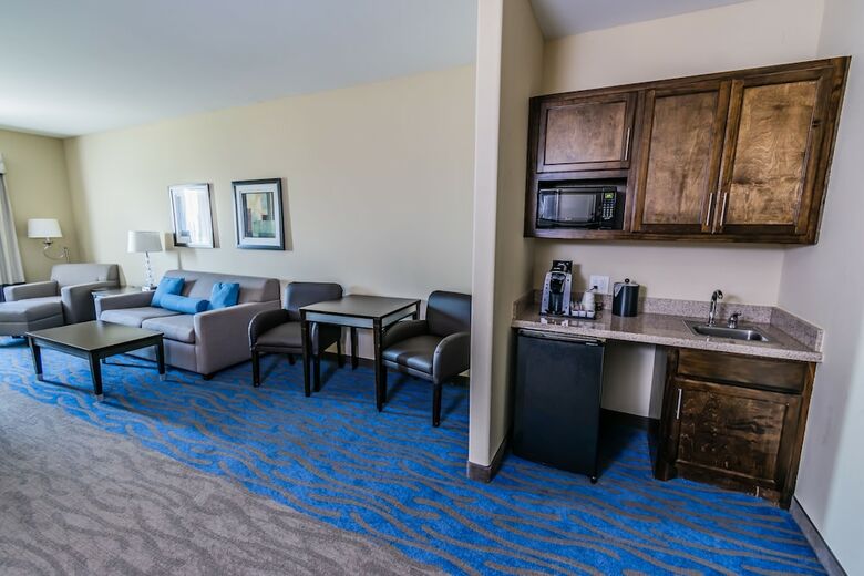 Hotel Holiday Inn Houston-webster