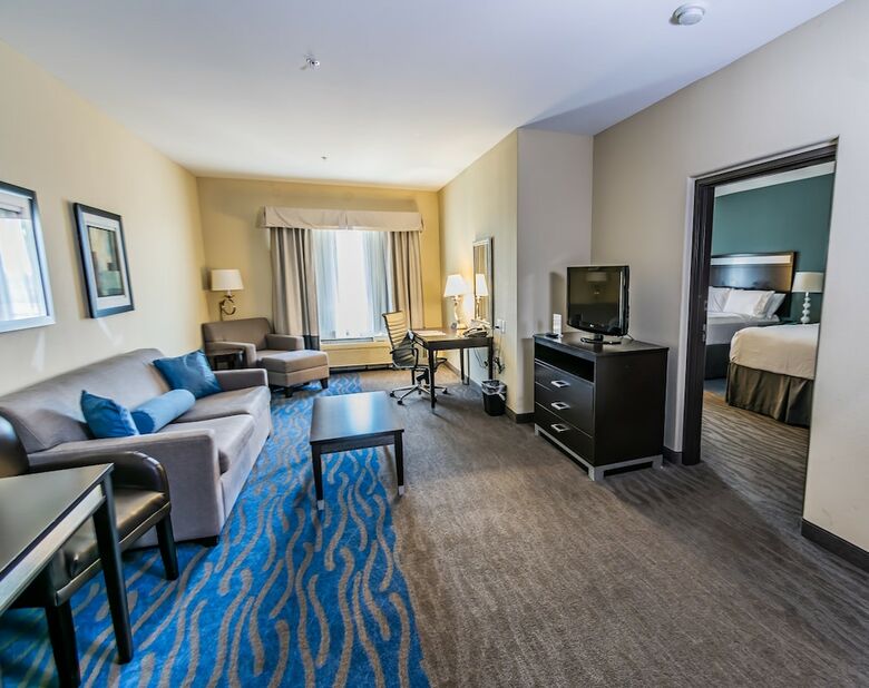 Hotel Holiday Inn Houston-webster