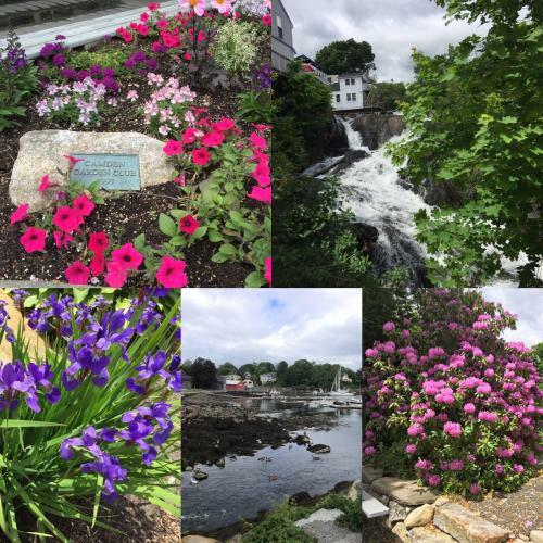 Camden Riverhouse Hotel And Inn