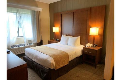 Hotel Comfort Suites Buffalo Airport