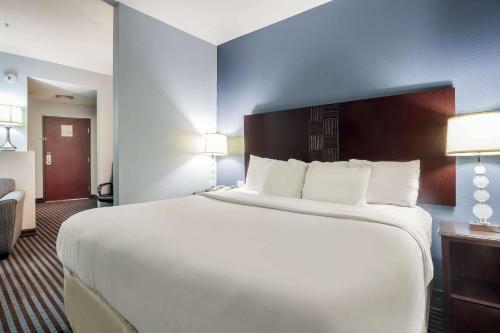 Hotel Comfort Suites Mineral Wells