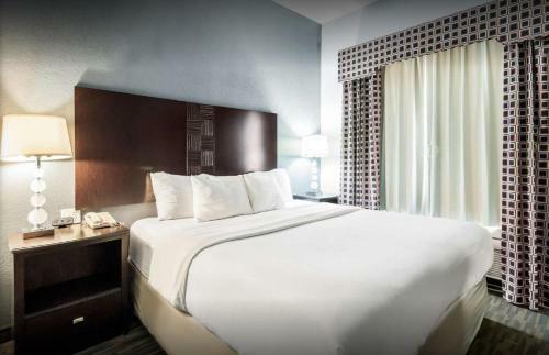 Hotel Comfort Suites Mineral Wells