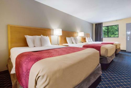 Motel Econo Lodge North Battleboro
