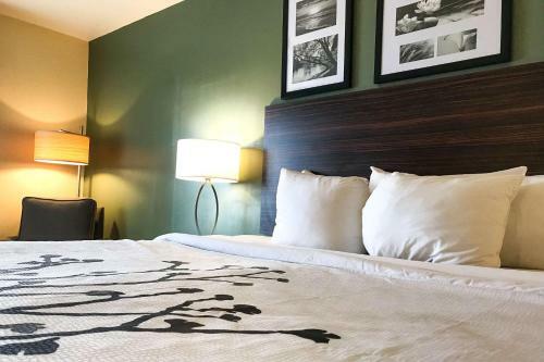 Hotel Sleep Inn & Suites Shepherdsville