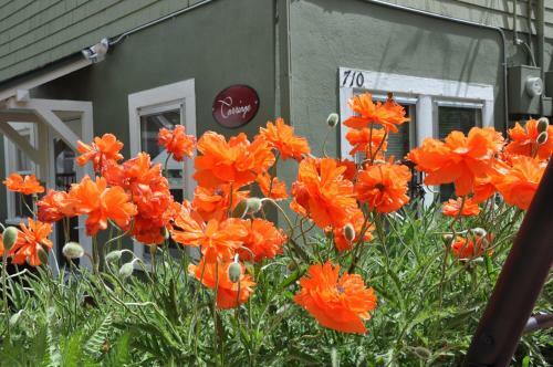 Avenue Hotel Bed And Breakfast