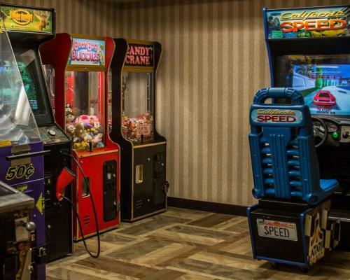 Hotel Comfort Inn Birch Run