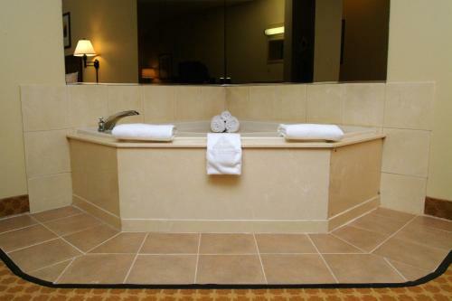 Hotel Country Inn & Suites Birch Run