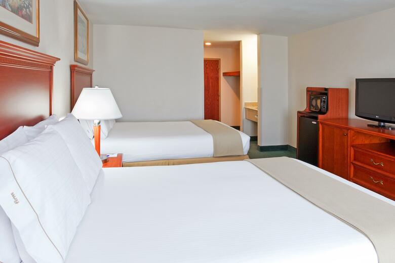 Hotel Holiday Inn Express Birch Run-frankenmuth Area