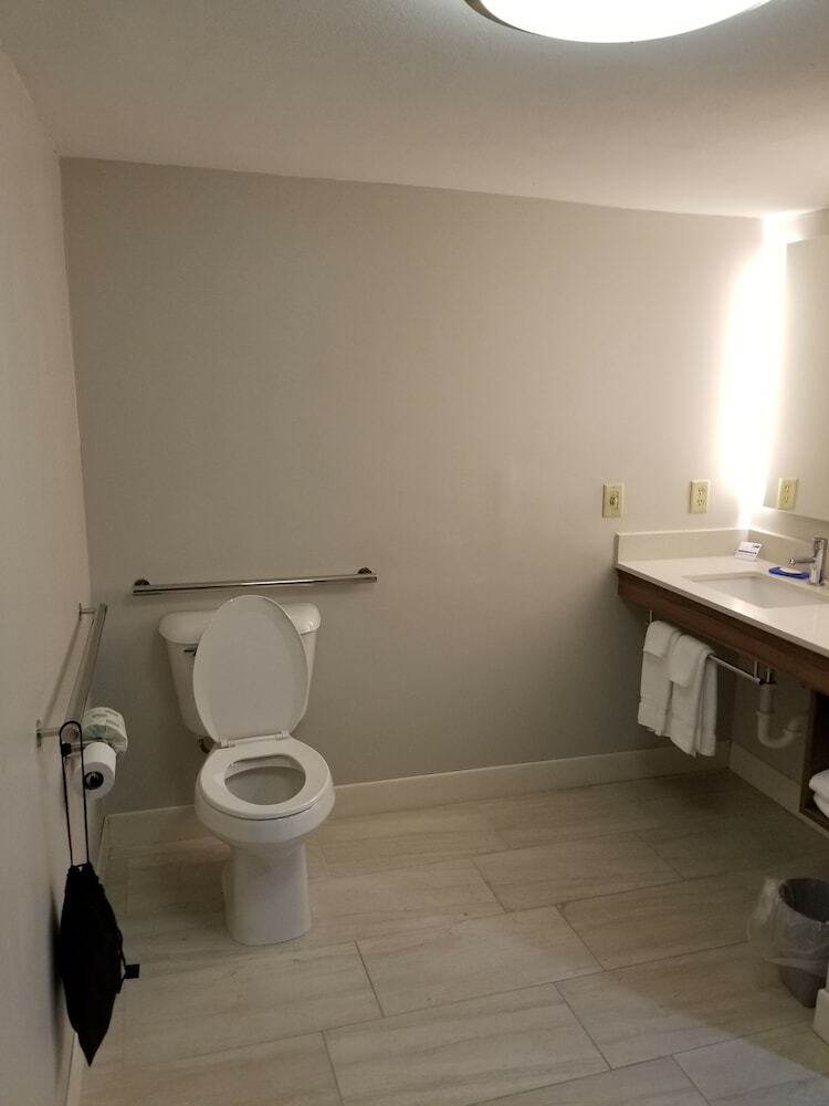 Hotel Holiday Inn Express Birch Run-frankenmuth Area