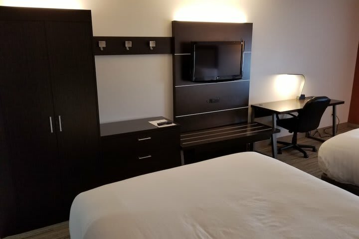 Hotel Holiday Inn Express Birch Run-frankenmuth Area
