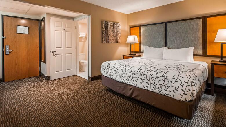 Hotel Best Western Of Birch Run/frankenmuth