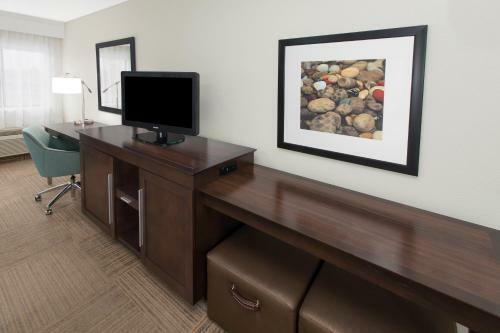Hotel Hampton Inn Birch Run