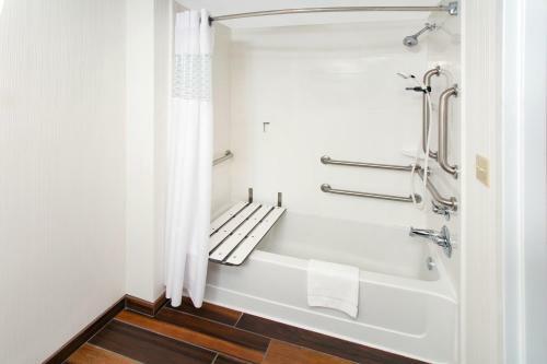 Hotel Hampton Inn Birch Run