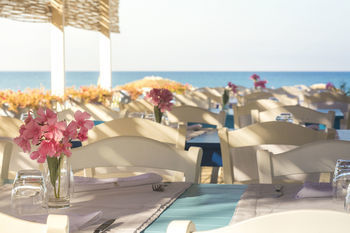 Hotel Oleandri Resort Paestum