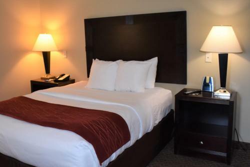 Hotel Comfort Inn & Suites Scottsboro