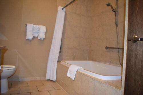 Hotel Comfort Inn & Suites Scottsboro