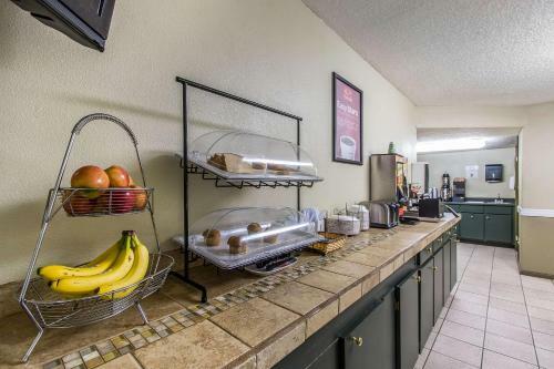 Hotel Econo Lodge Scottsboro