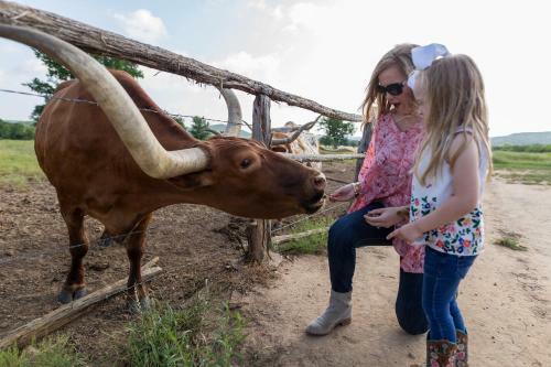 Hotel Wildcatter Ranch And Resort