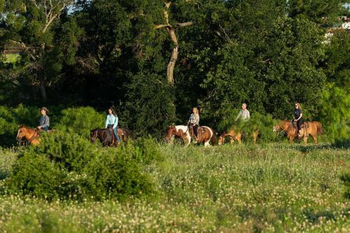 Hotel Wildcatter Ranch And Resort