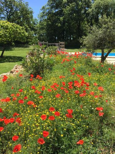 Bed & Breakfast Le Puech Des Amandiers