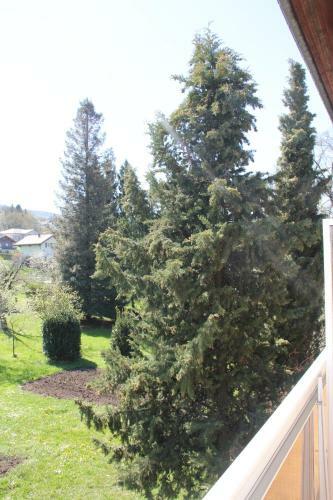 Hotel H�tel Restaurant Le Panorama