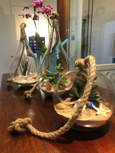 Hotel Babord - Tribord