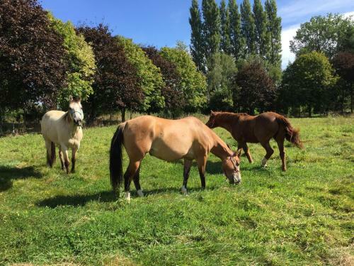 Bed & Breakfast Chambres D'h�tes Au Clos Du Lit