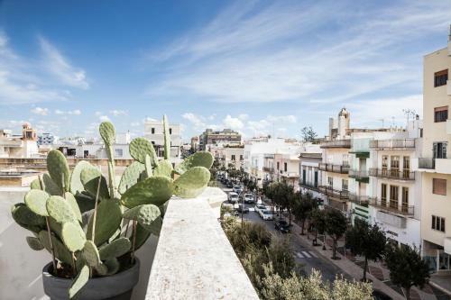 Bed & Breakfast Palazzo Angelelli