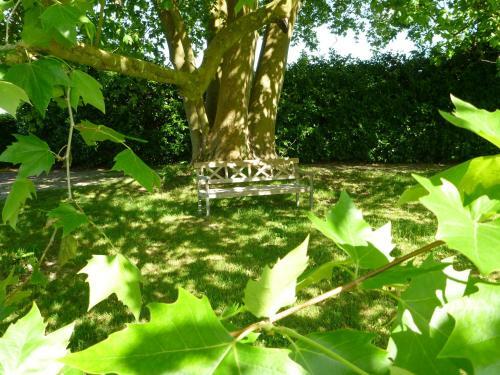 Bed & Breakfast Domaine Du Papillon