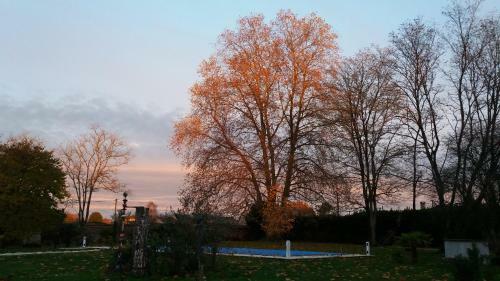 Bed & Breakfast Domaine Du Papillon